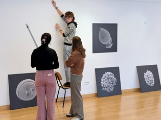 galerija3.jpg